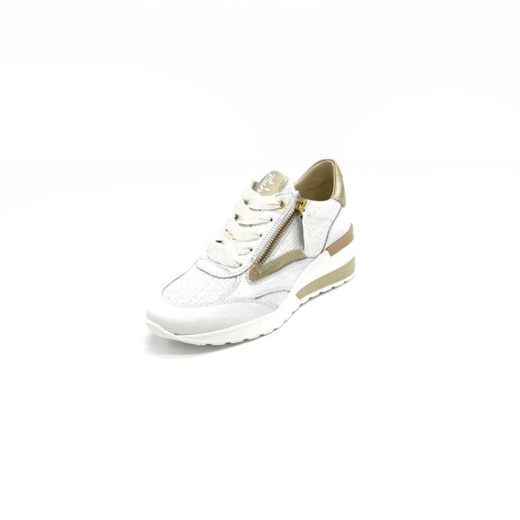 leder