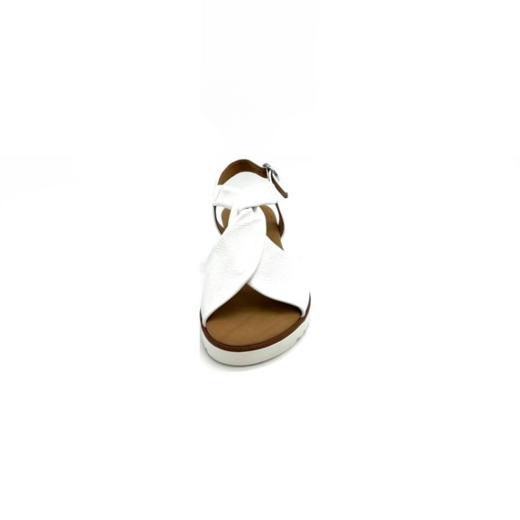 leder