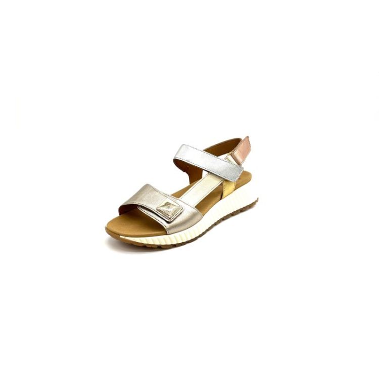  metallic