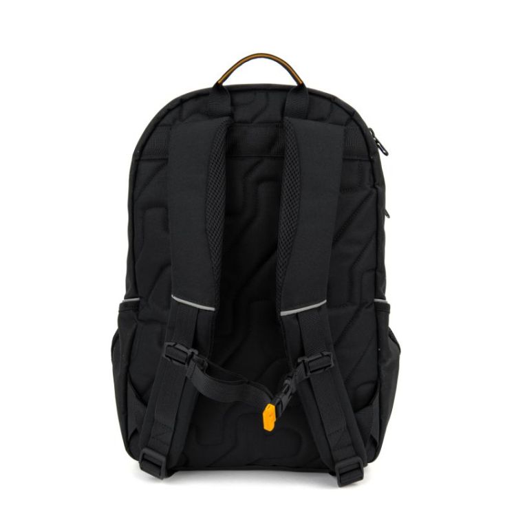 wolf black