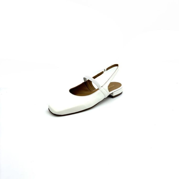  leder