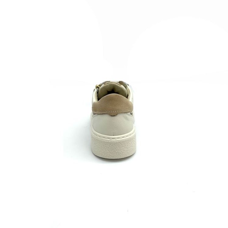  leder