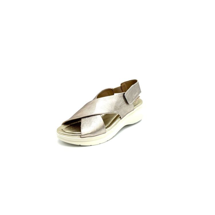  metallic