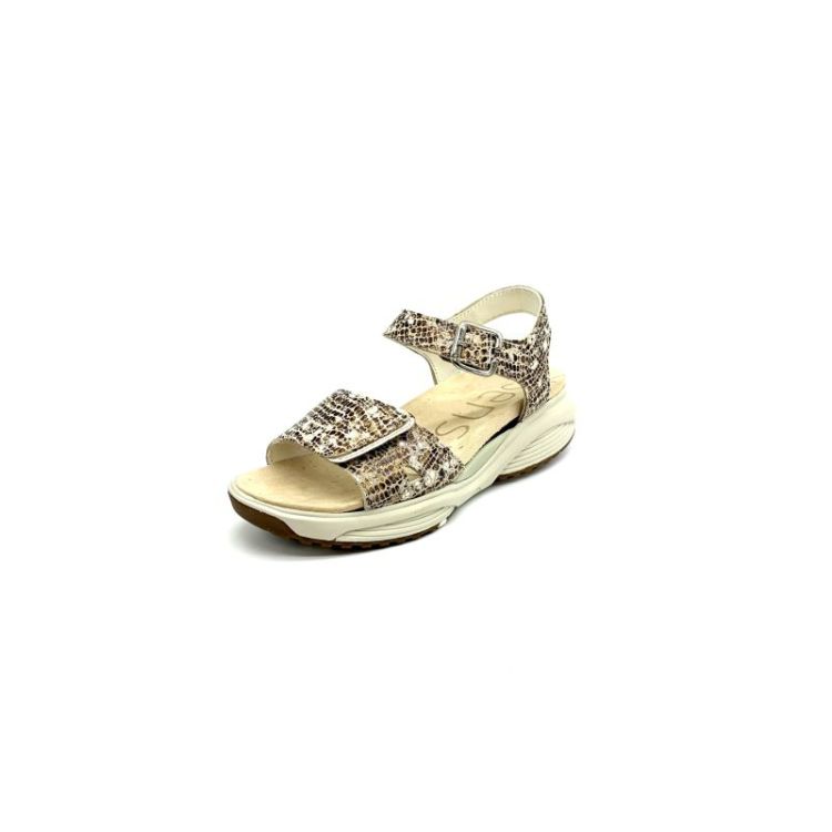 Skala metallic