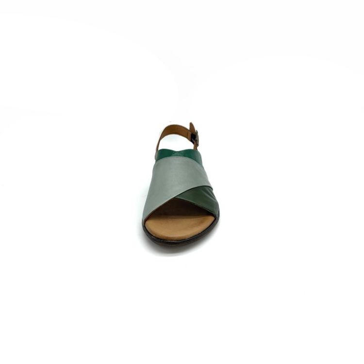  leder